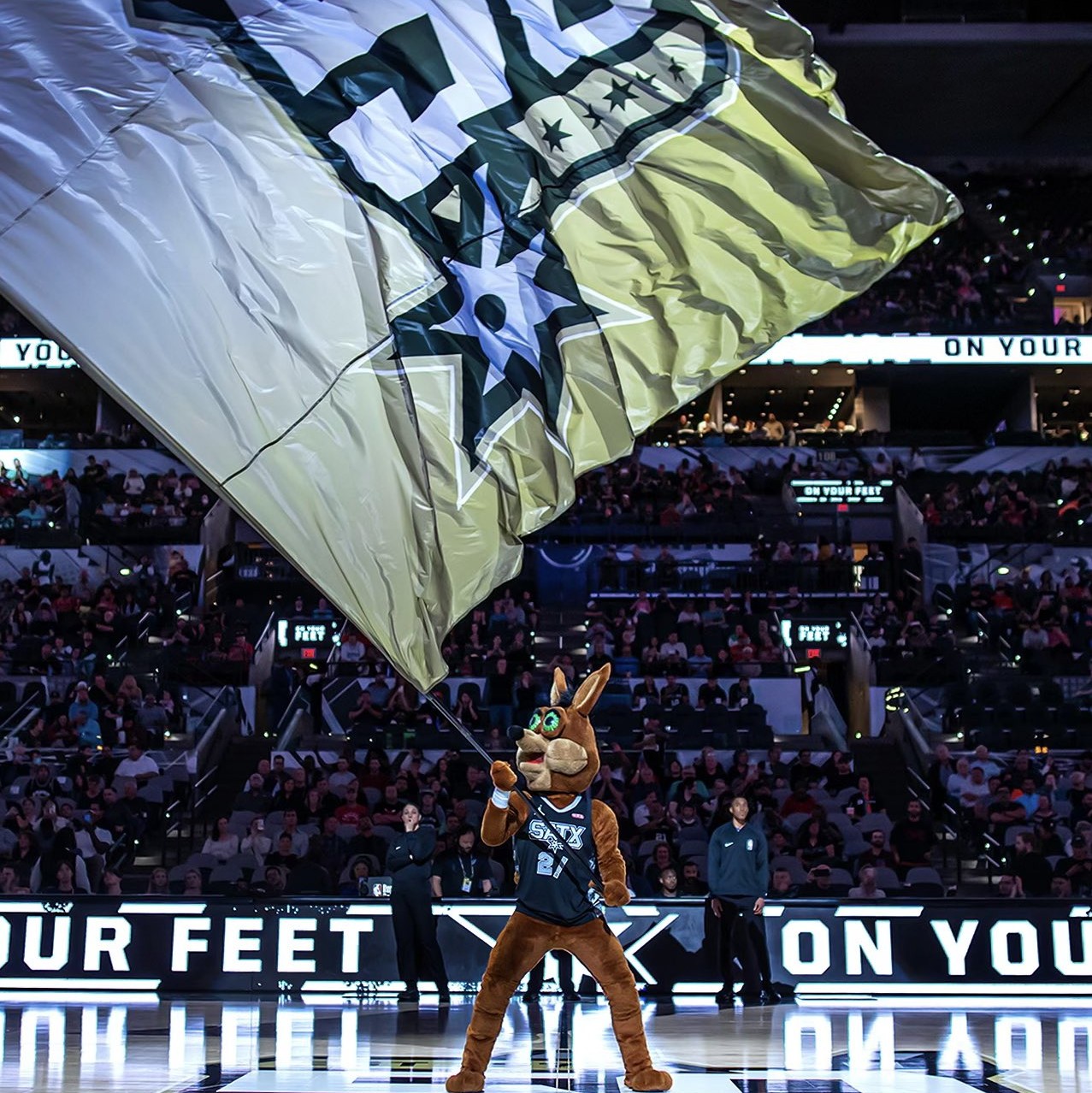 我们会继续 我们会继续